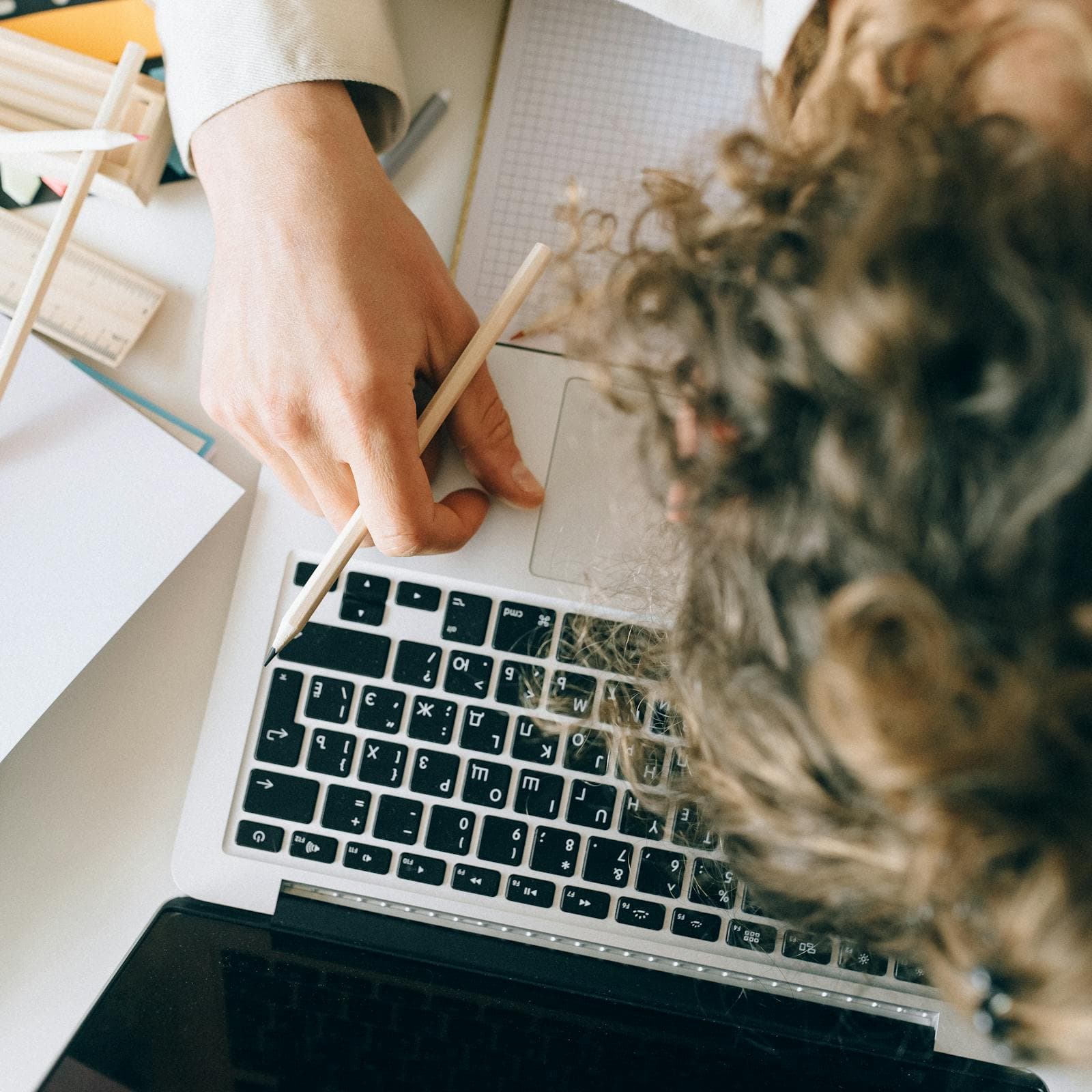 Professional working at a desk